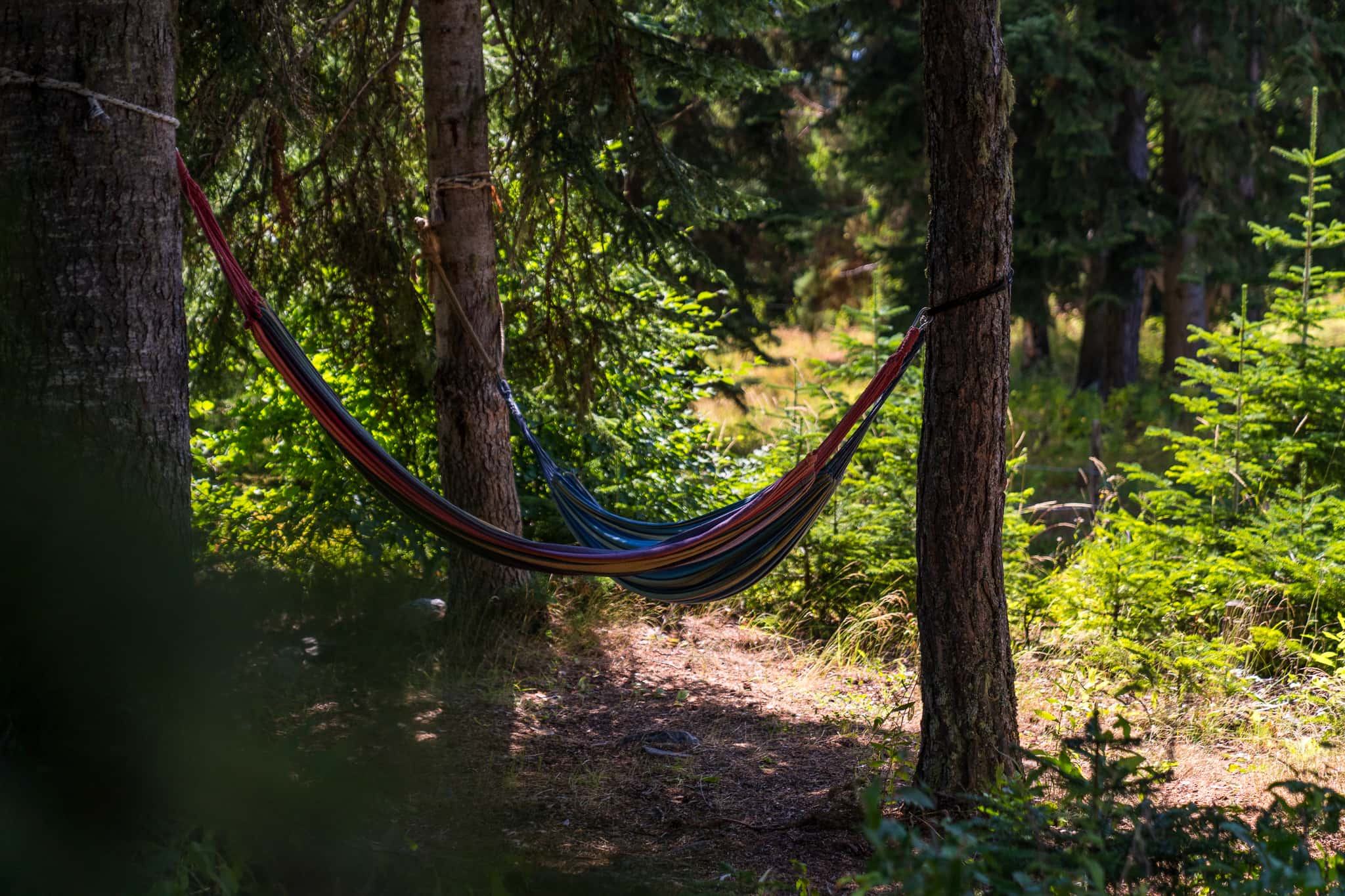 Hamaki Relaxation Area